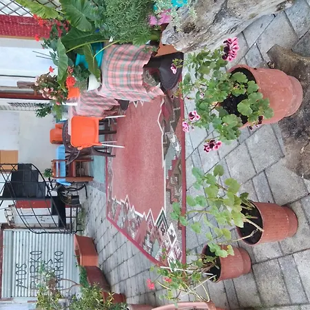 Casa Mia Vandrerhjem Vlorë