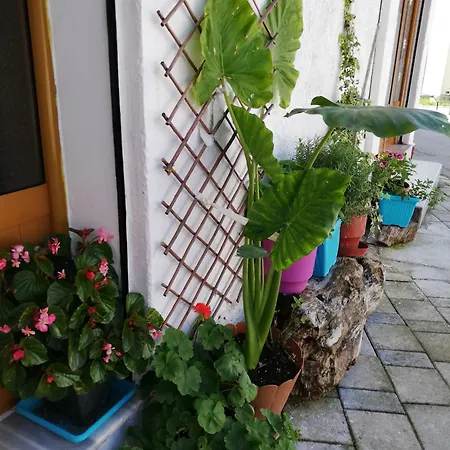 Casa Mia Vandrerhjem *