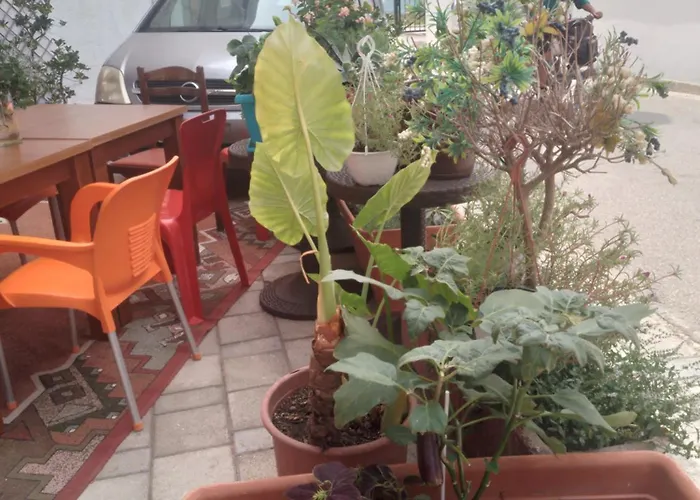 Casa Mia Vlore